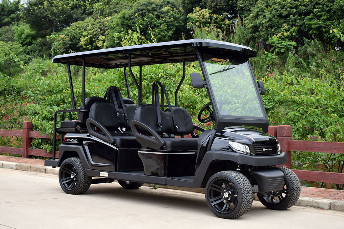 Bintelli Beyond Golf Cart Black - AMI Golf Cart Rentals Siesta Key